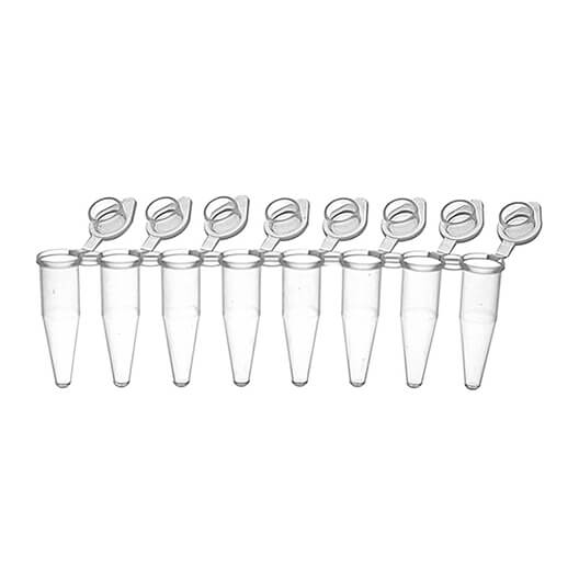 0.2ml Thin Wall Clear 8-Strip PCR Tubes with attached Frosted Flat Caps
